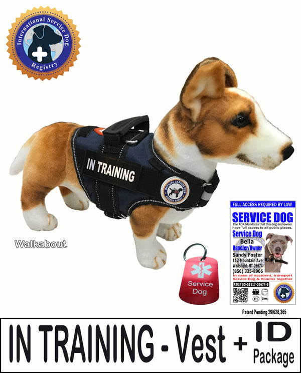 Service animal in clearance training vest