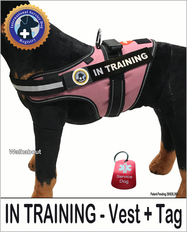 Assistance dog in training on sale vest