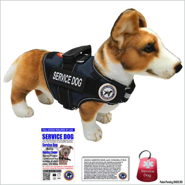 VEST-TAG-ID-SD-PKG_600x.jpg?v=
