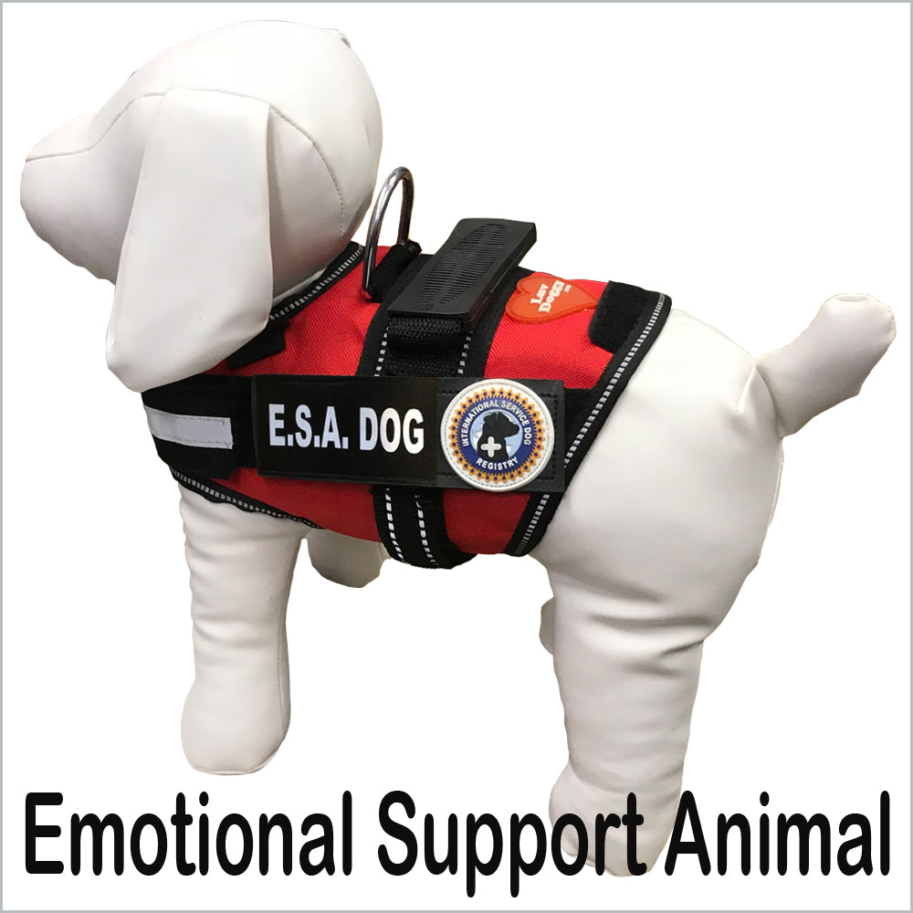 Emotional Support Animal