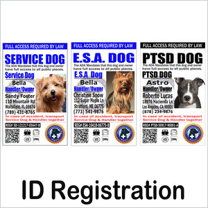 ID Registration