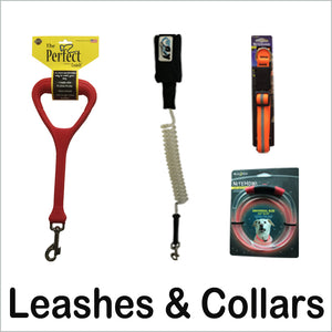 Leashes & Collars