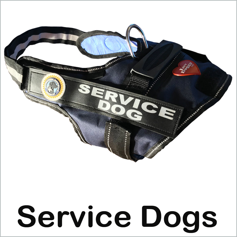Service Dogs