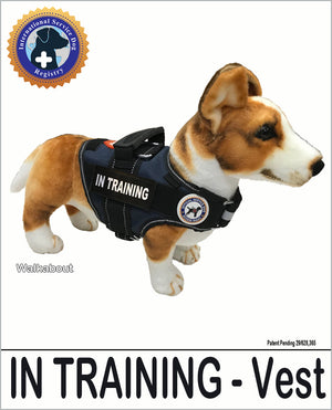 In Training Dog Vest