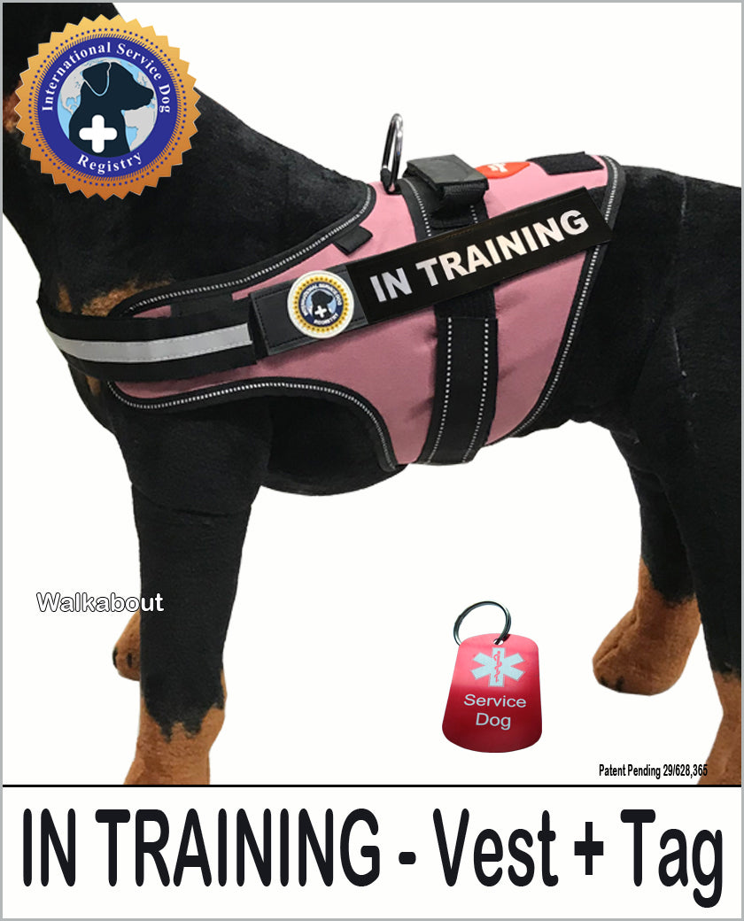 In Training - Service dog Vest - LUVDOGGY