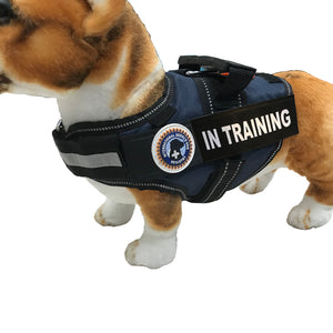 Training Dog Vest + Dog Tag