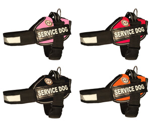 Service Dog Vest - "Towner" + Dog tag + Rights Booklet + ADA Cards