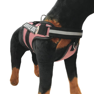 Training Dog Vest + Dog Tag
