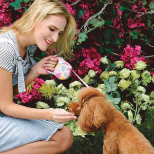 DOGNESS-Metal-retractable Leash - Extends from 1'-16' for 1-90 lb Dogs