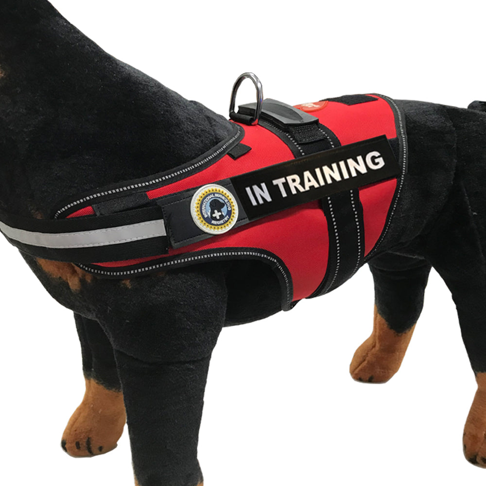 Training Dog Vest ID Dog Tag