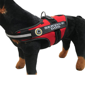 Service dog vest
