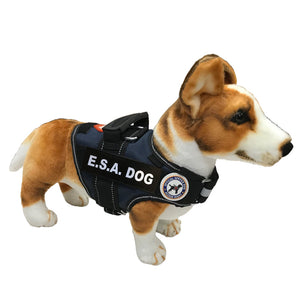 esa dog vest