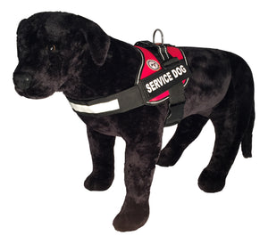 Service Dog Vest - "Towner" + Dog tag + Rights Booklet + ADA Cards