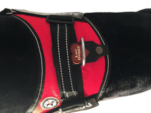 Service Dog Vest - "Towner" + Dog tag + Rights Booklet + ADA Cards