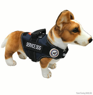 Service Dog Vest-Leash-Dog Tag