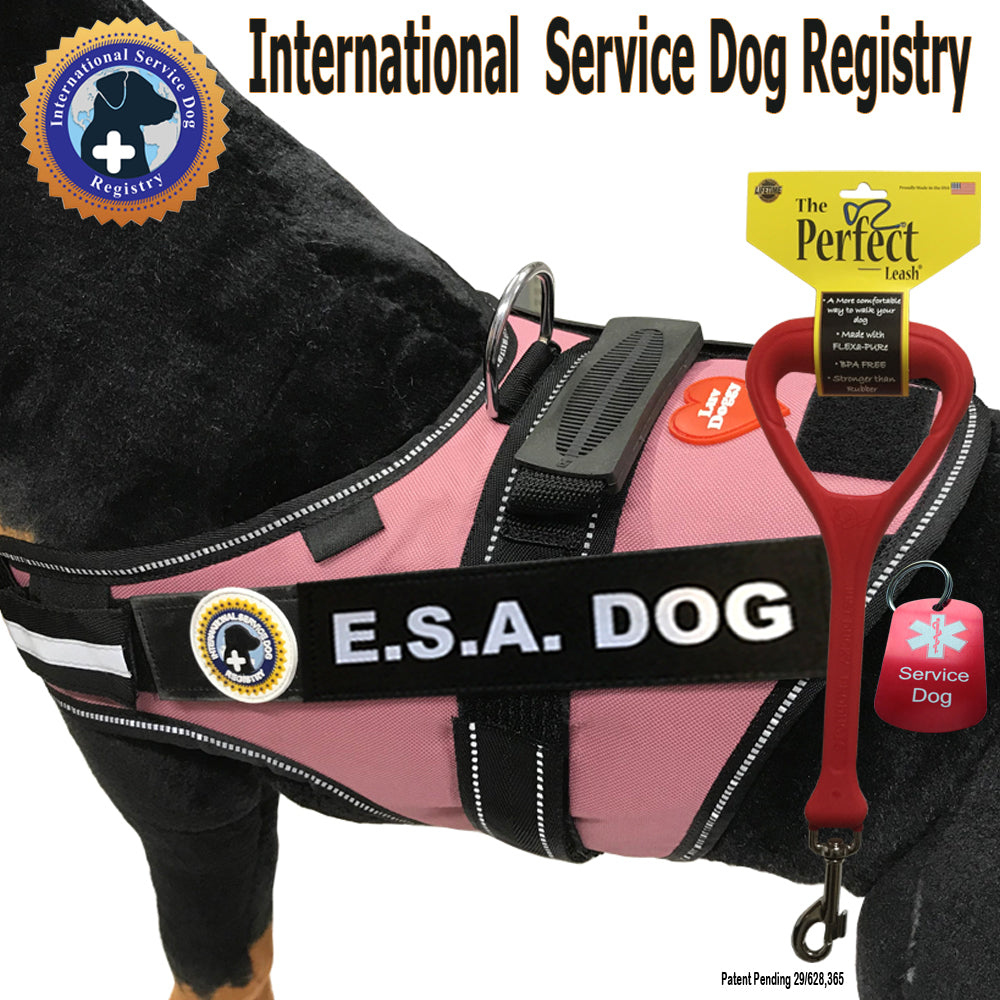 ESA Dog Vest-Leash-Dog Tag