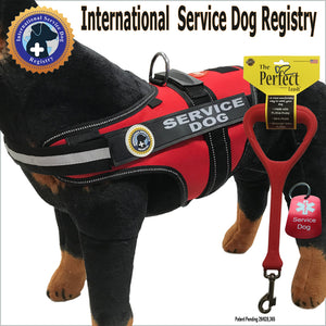 Service Dog Vest-Leash-Dog Tag