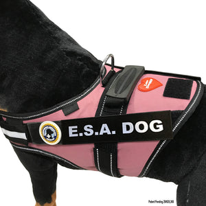 ESA Dog Vest-ID-Digital ID-Leash
