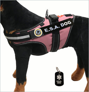 ESA Dog Vest + Dog Tag
