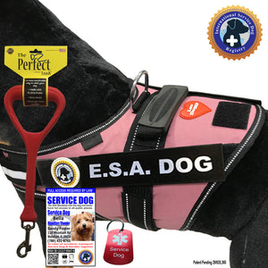 ESA Dog Vest-ID-Leash-Dog Tag