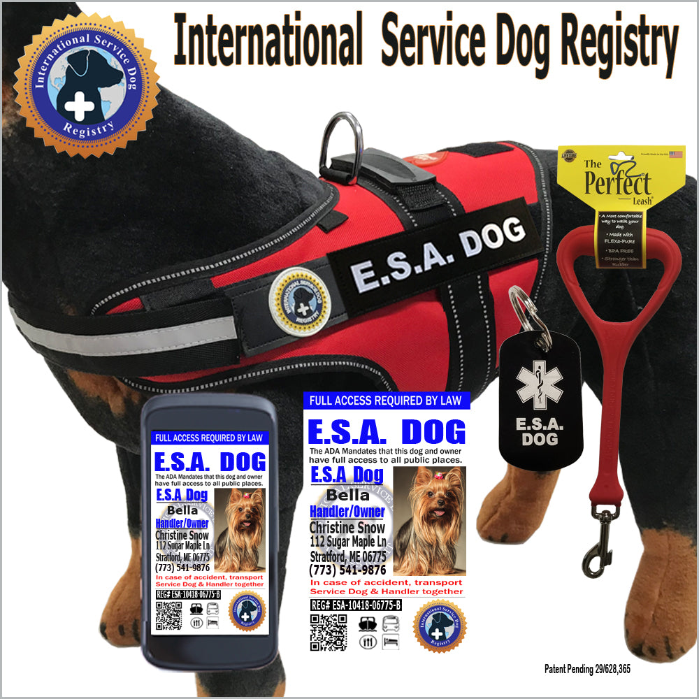 ESA Dog Vest-ID-Digital ID-Leash