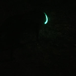 NITEHOWL - LED Safety Necklace