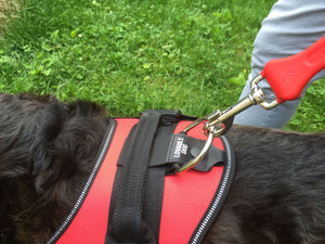 "Walker" Service Dog Leash