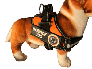 Service Dog Vest - "Towner" + Dog tag + Rights Booklet + ADA Cards
