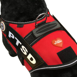 PTSD Dog Vest-Leash-Dog Tag