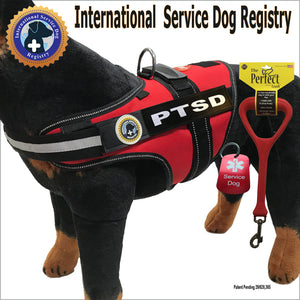 PTSD Dog Vest-Leash-Dog Tag