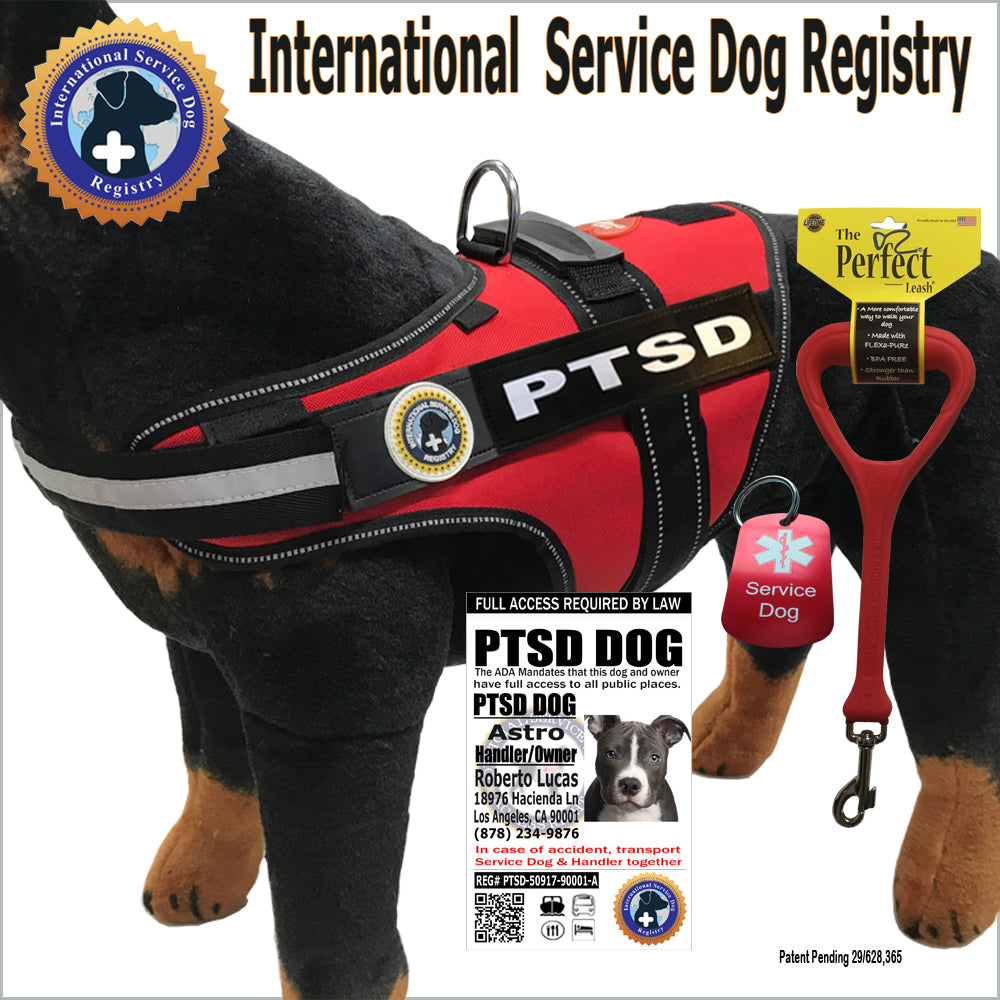 Dog Gear Ptsd Service Dog Harness Quest Dog Harness With PTSD And
