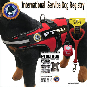 PTSD Dog Vest-ID-Leash-Dog Tag