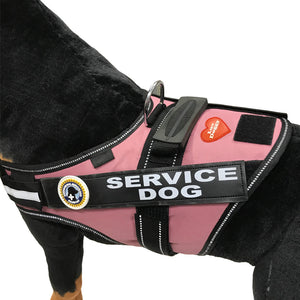 PTSD Dog Vest-ID-Dog Tag